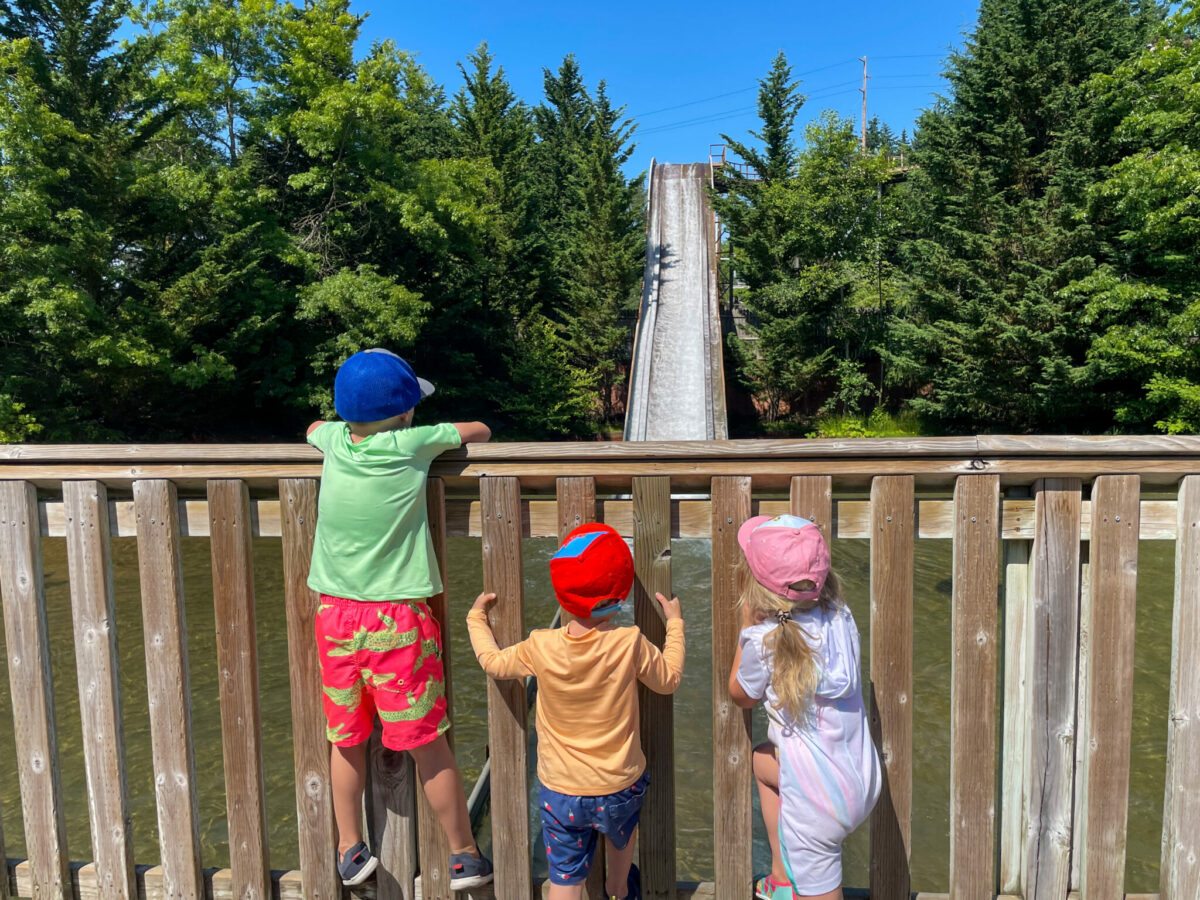 Kids watch the Timberhawk roller coaster roaring by at Wild Waves during a summer visit.