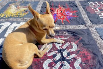 sustainable holiday gifting