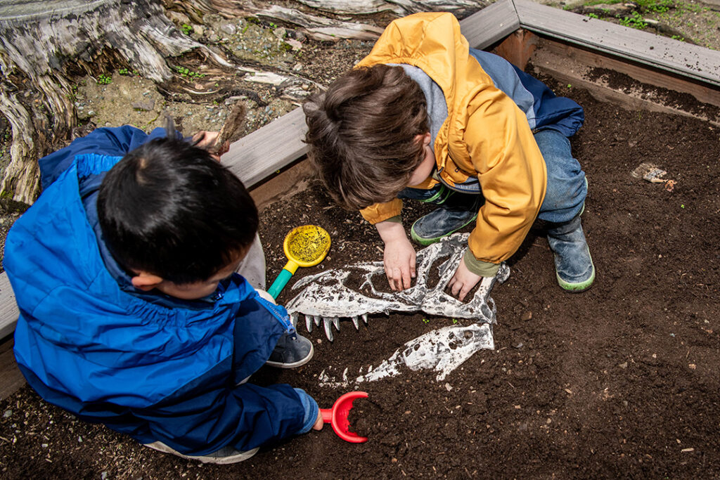 Students examining bones at the Dino Dig excavation site