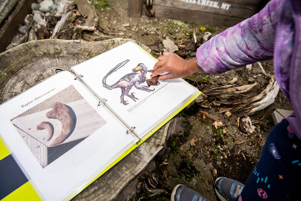 Sammamish Montessori student connecting fossils found to images printed on learning materials