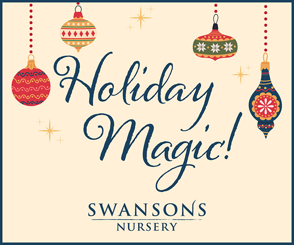 Swansons Nursery Holiday Magic