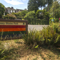 Denny Blaine Park plan