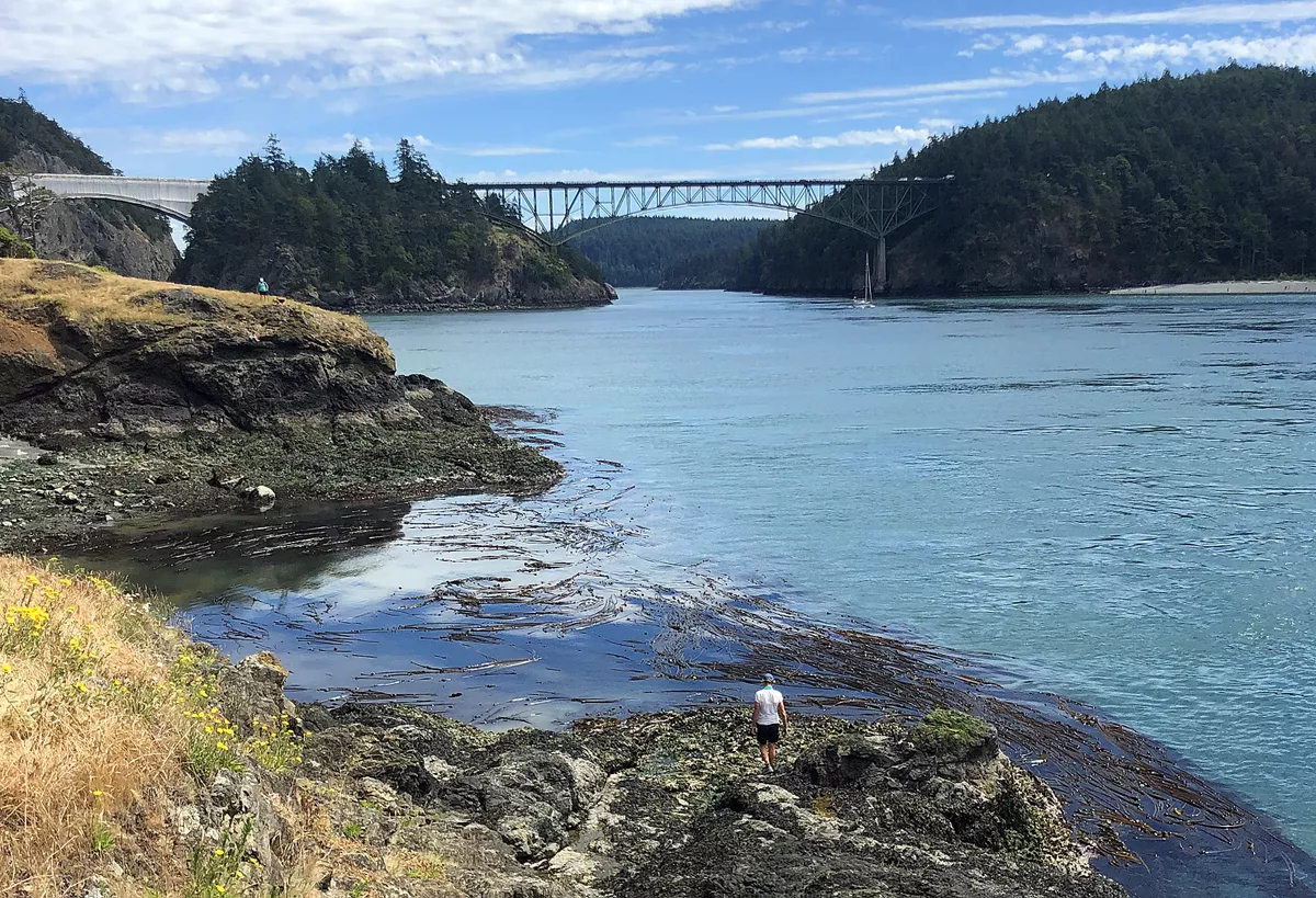 Join a first day hike at deception pass state park. park scenery