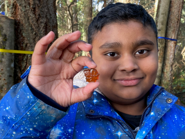 Boy holds up a maple candy in the shape of a maple leaf.