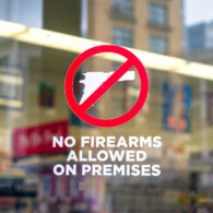 gun violence prevention wins