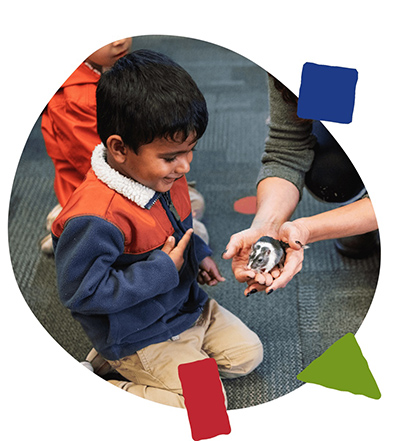 Sammamish Montessori student looking at a small animal held in a teacher's hands