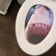 April Fools shark toilet