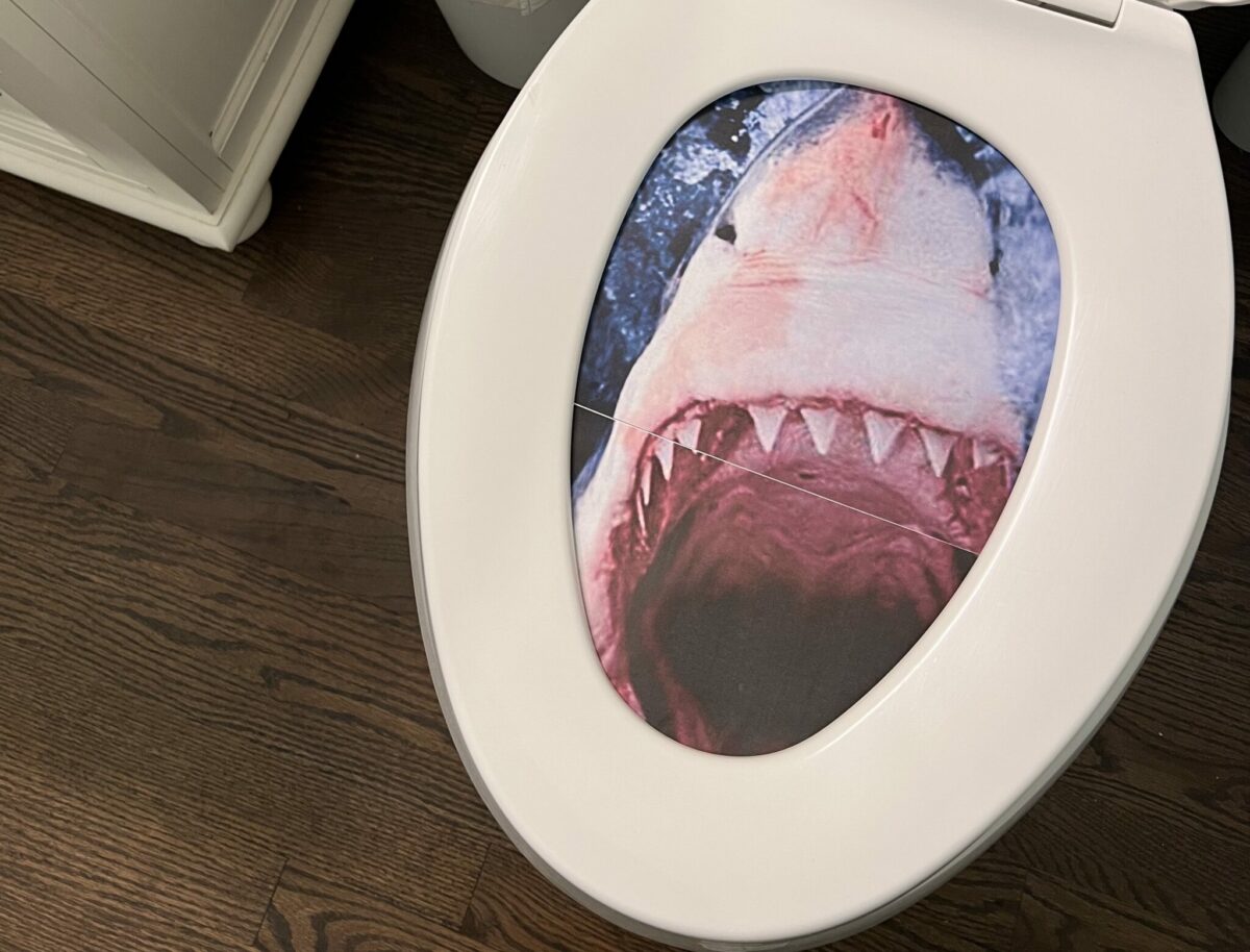 April Fools shark toilet