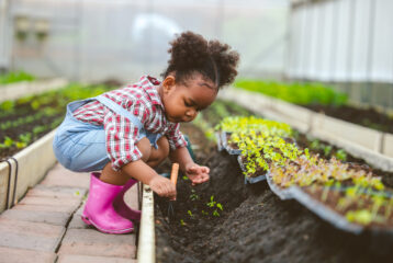 Child play planting the green tree in the garden.