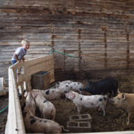 Genuine skagit cooking