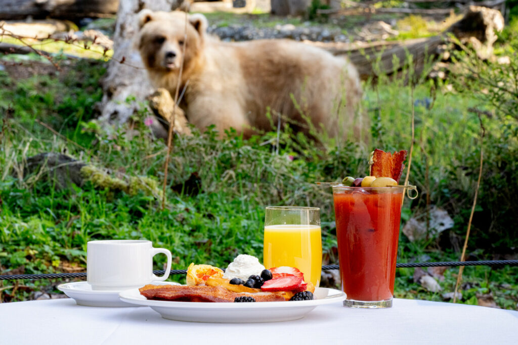 Papa Bear Brunch. (Photo courtesy: Woodland Park Zoo).