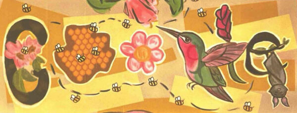 Google doodle winner