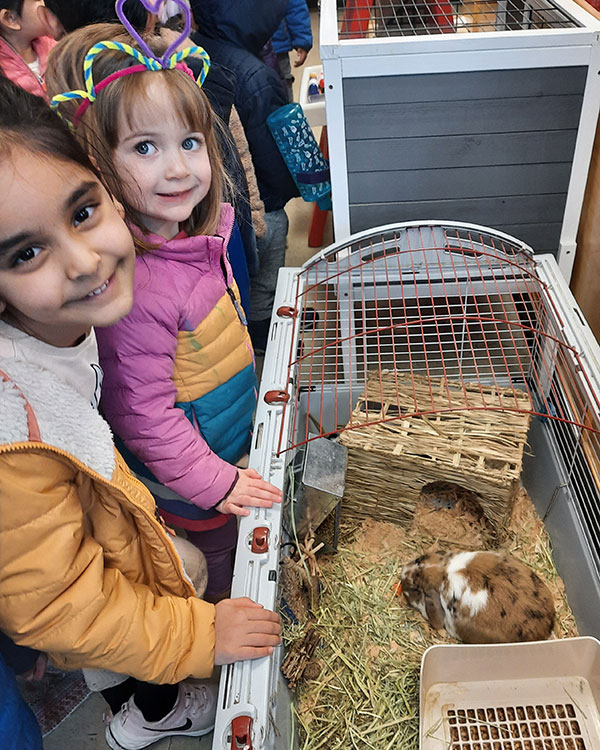 Two students looking in on Sammamish Montessori classroom pet rabbits in their pen