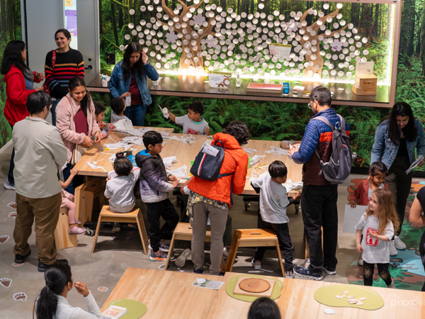 Sammamish Montessori School students on a field trip