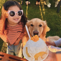 Diverse summer treats