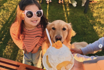 Diverse summer treats