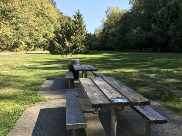 vote for seattle parks projects