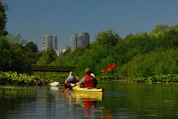 Rent canoes or take part in three-hour guided canoe rides, led by Bellevue park rangers. Photo: ceepdublu/flickr