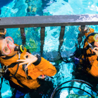 Eye to eye shark dive