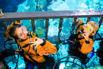 Eye to eye shark dive