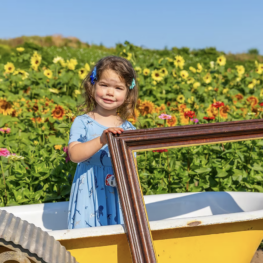 Two children posing with sunflowers and festival food at a Washington farm