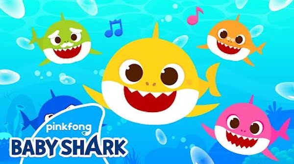 Eye to eye shark dive Baby shark