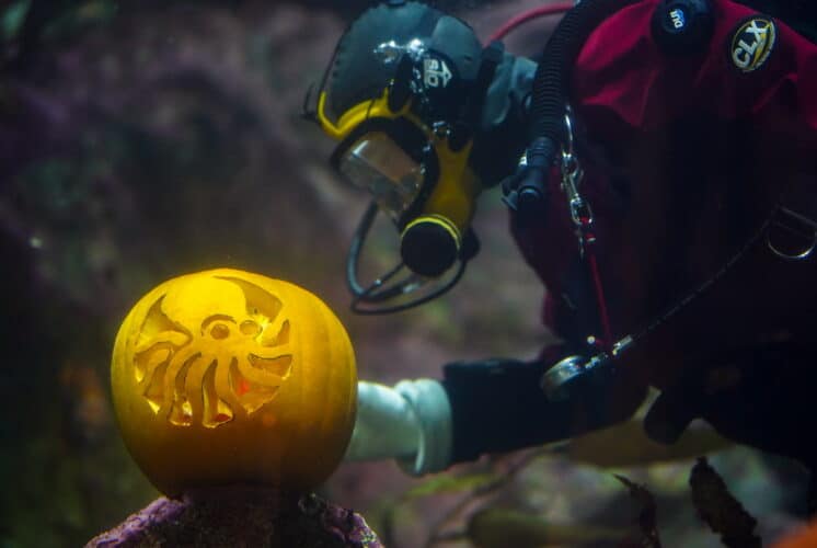 Aquarium-Halloween-underwater-pumpkin-carving
