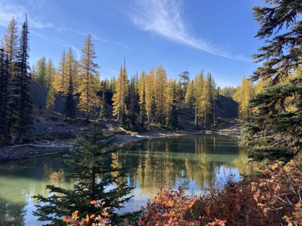 Golden larches reflecting in Clara Lake in Washington’s Wenatchee Mountains.