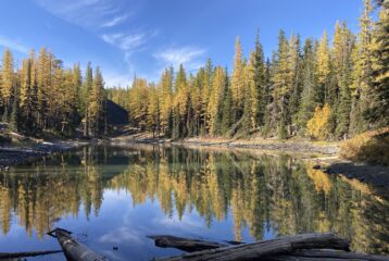 Golden larches reflecting in Clara Lake in Washington’s Wenatchee Mountains.