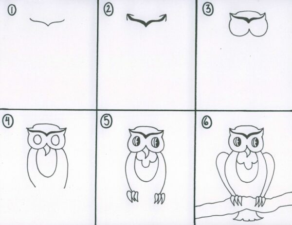 Step-by-step guide showing how to draw an owl for a kids’ fall art project.