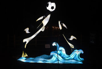 Orca-themed lantern display at WildLanterns showing two illuminated orcas playing soccer at Woodland Park Zoo.