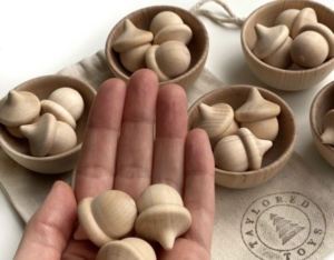 holiday gift guide acorns