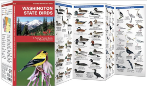 holiday gift guide field guide