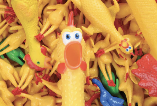 shop local toy stores