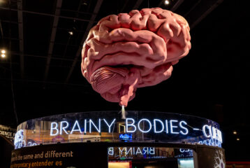 Huge brain in the middle of a room, with a sign that says Brainy Bodies underneath it.
