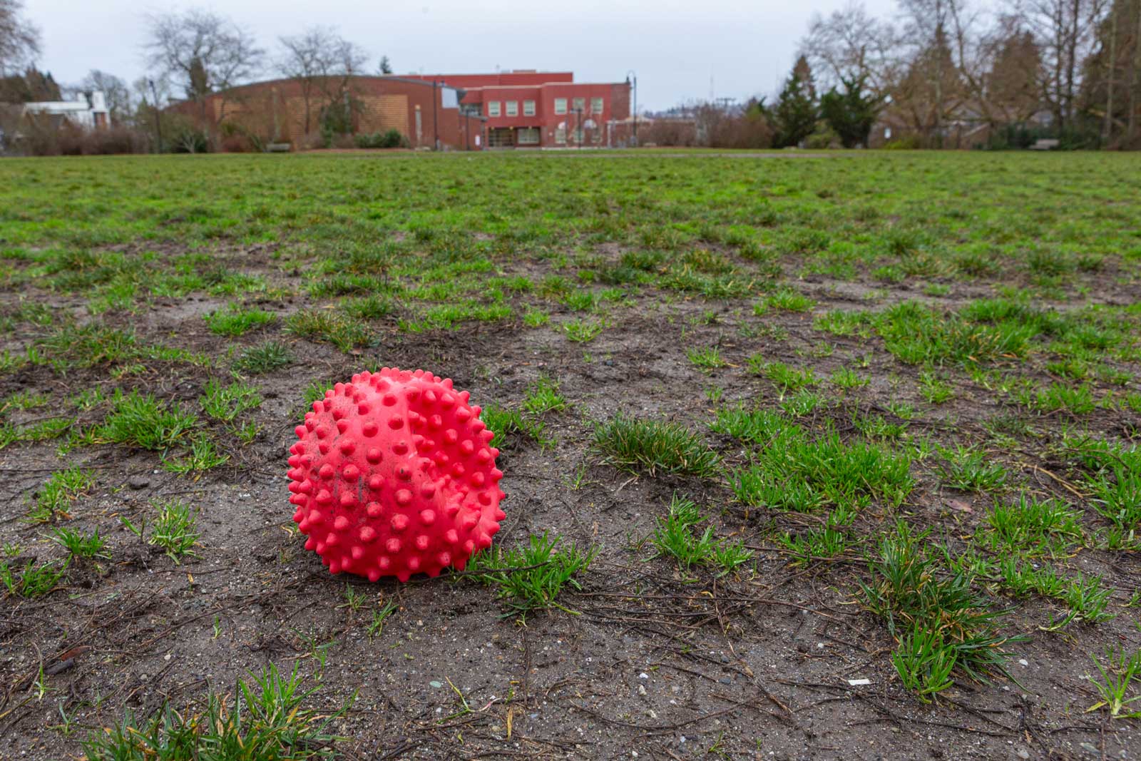 Controversy over Wallingford Playfield use