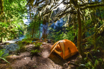 A woman cooks near the fire while two children play in the tent at a backcountry campsite near a stream. Siouxon Creek, Gifford Pinchot National Forest, Washington State.