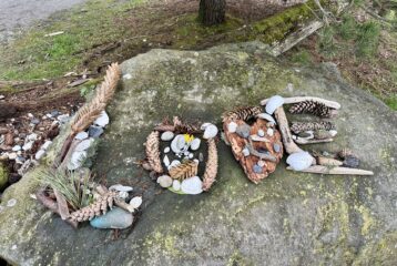 The word 'LOVE' spelled out with driftwood, rocks, kelp, flowers, crabshells, pinecones. Sitting on a large boulder in the park
