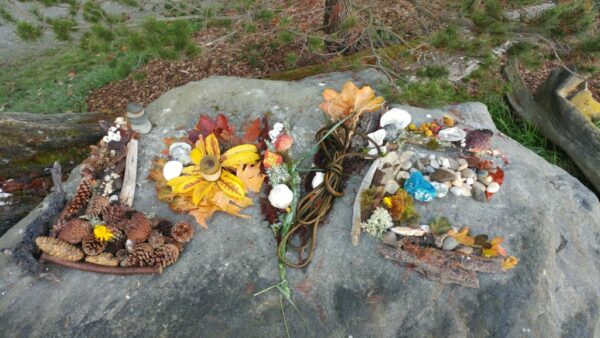The word 'LOVE' spelled out with driftwood, rocks, kelp, flowers, crabshells, pinecones. Sitting on a large boulder in the park