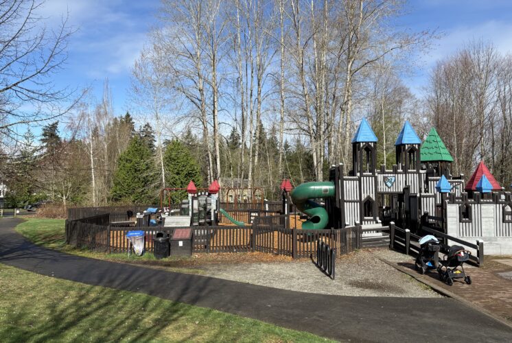 Large play structure shaped as a castle