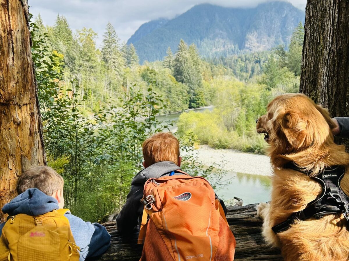 Two kids and dog look over a serene mountain river, with trees and mountaintops in the distance