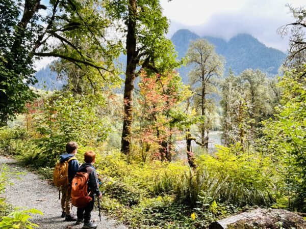 Kids looking over mountain range on hike
