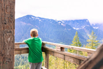View from the top of Heybrook Lookout fire tower