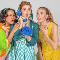 'Bye Bye Birdie' review