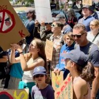 The Roundup No Kings