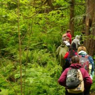 Students exploring nature during an outdoor school program in Washington