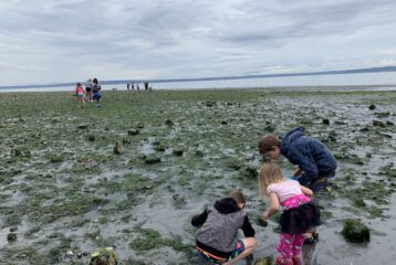 Kids exploring tidepools at Dash Point State Park at low tide