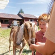 An adult feeds a goat at The Muddy Pug Farm & Sanctuary while a young child looks on with curiosity.
