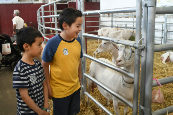 Kids smiling at goats in the petting zoo at the Washington State Fair 2025
