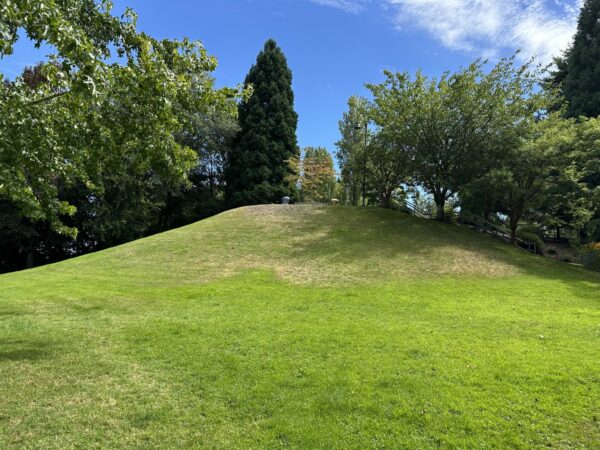 Large grassy hill at Jack Block Park, perfect for rolling